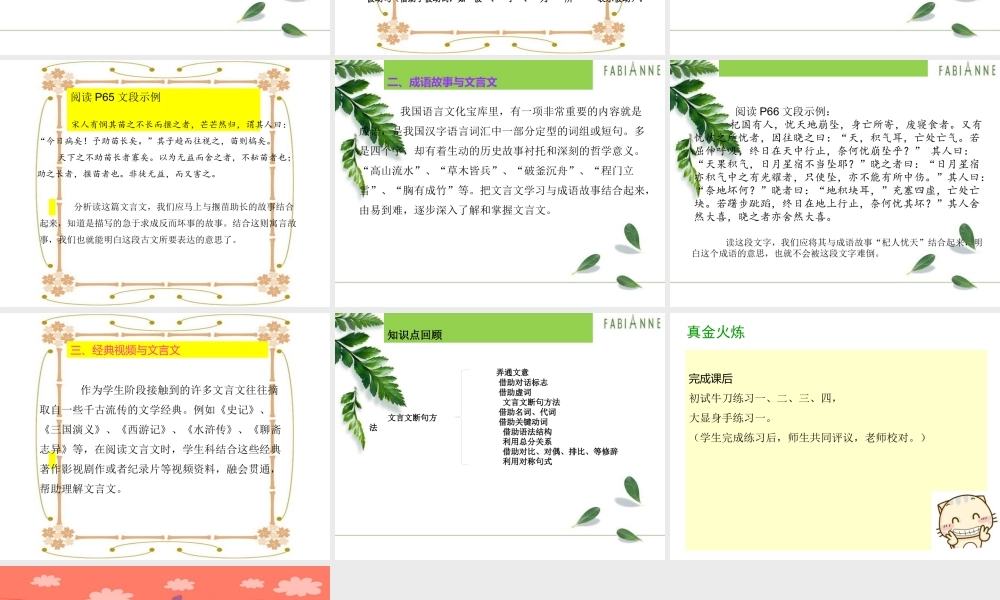 文言文阅读二.ppt.ppt