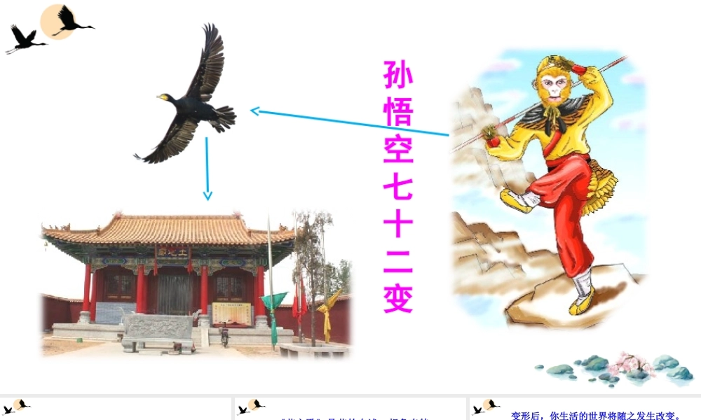 习作：变形记.ppt