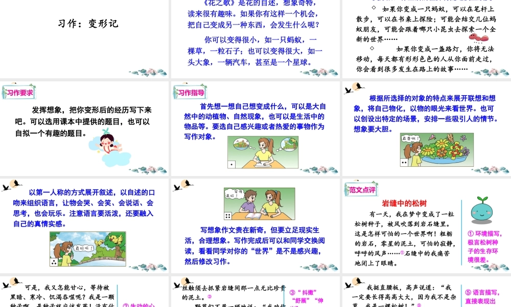 习作：变形记.ppt