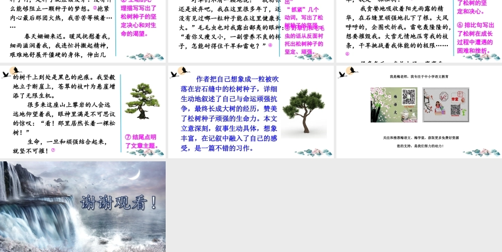 习作：变形记.ppt