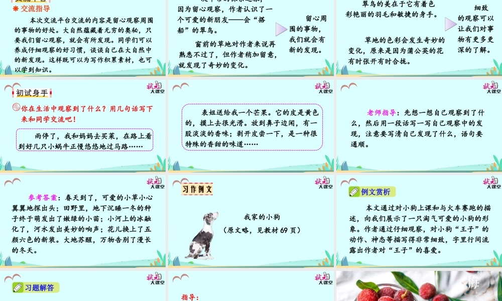 习作 我们眼中的缤纷世界.ppt