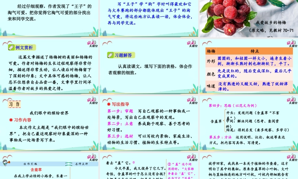 习作 我们眼中的缤纷世界.ppt