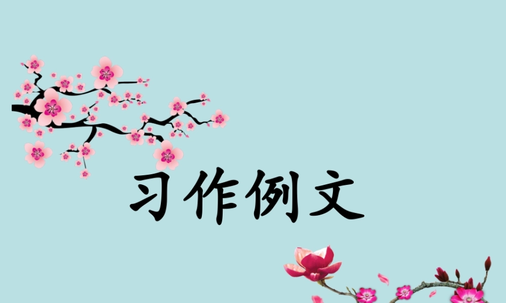 习作例文.ppt