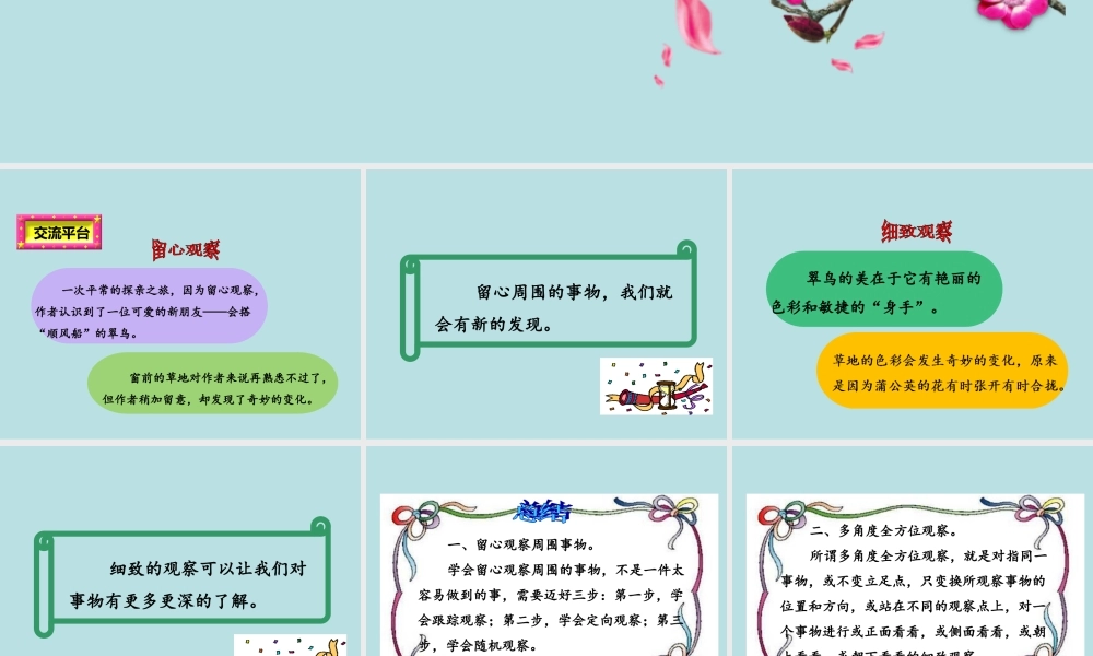 习作例文.ppt