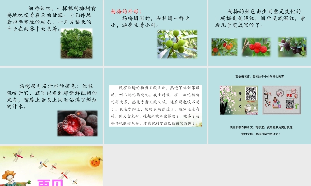 习作例文.ppt