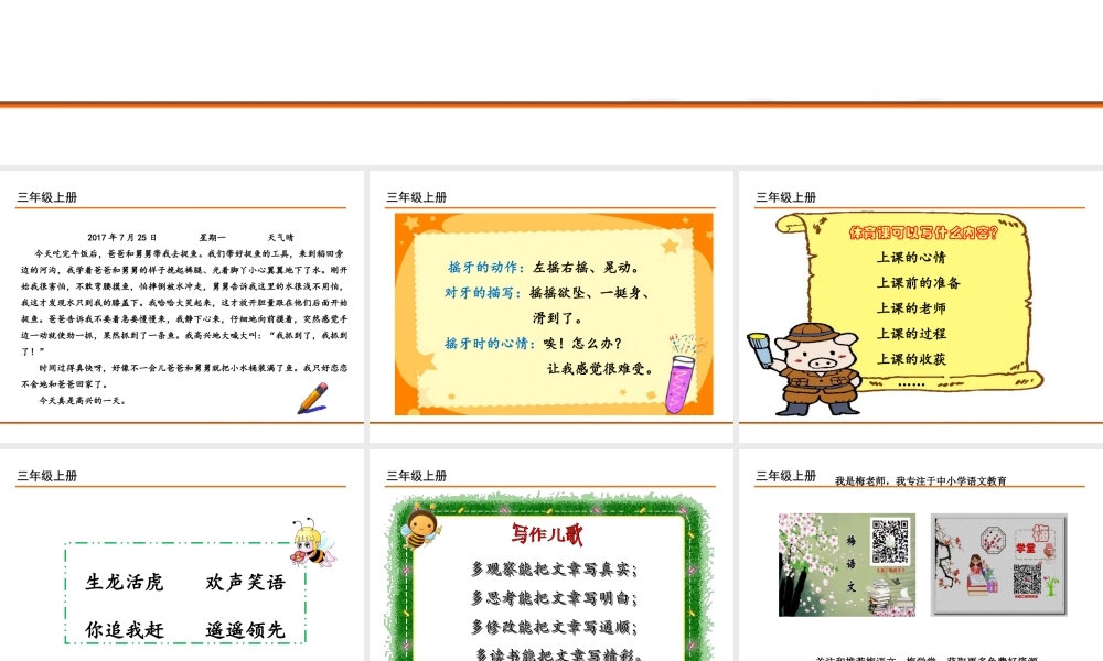 习作：写 日 记.ppt