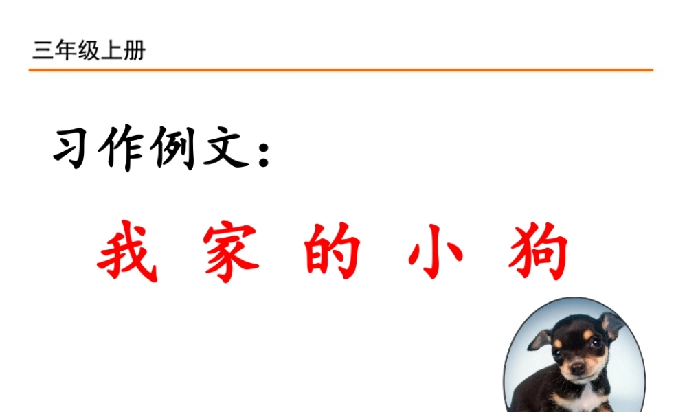 习作例文：我家的小狗.ppt
