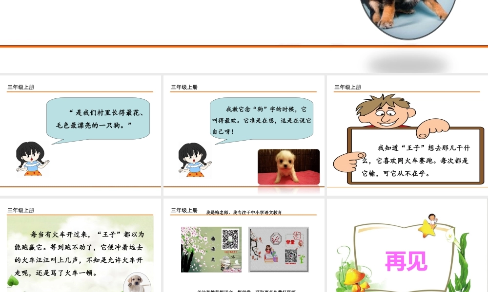 习作例文：我家的小狗.ppt