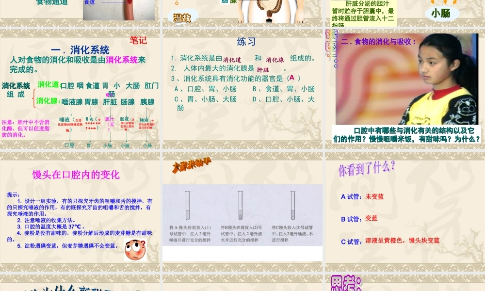 消化和吸收(新版人教版).ppt