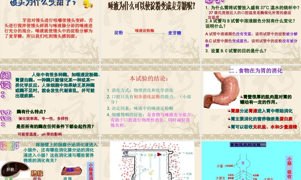 消化和吸收(新版人教版).ppt