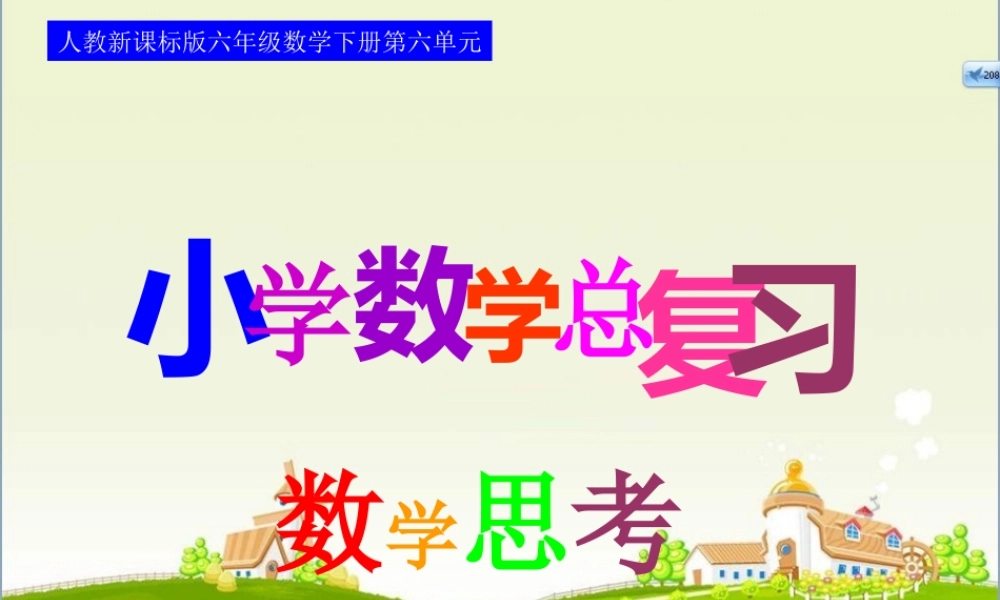 小学数学总复习 数学思考.ppt