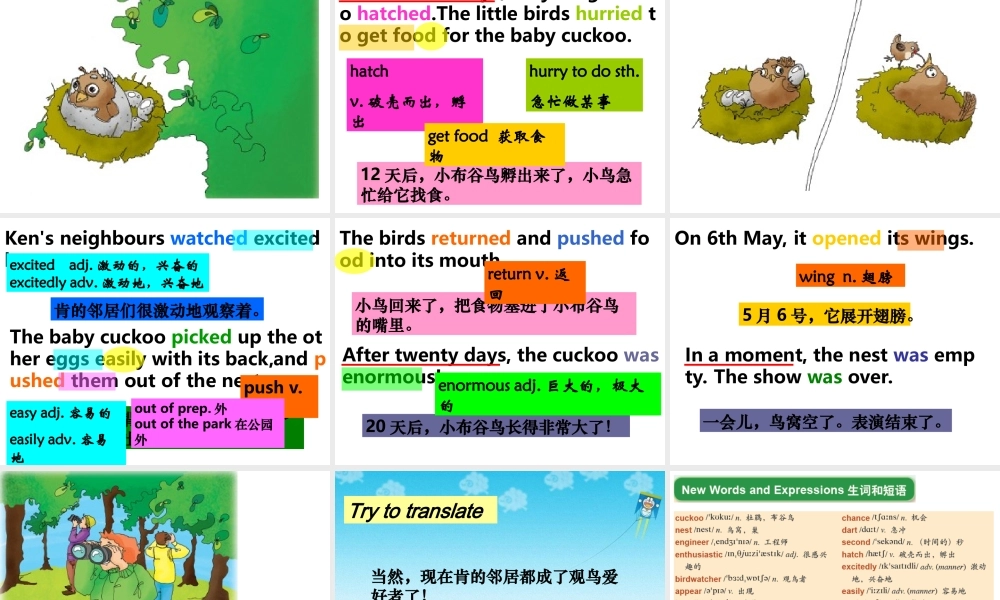 新概念青少版_2B_unit_17（共37页）.ppt