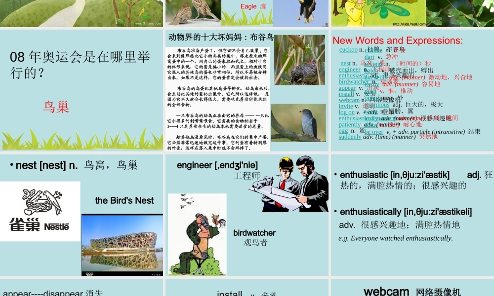 新概念青少版_2B_unit_17（共62页）.ppt