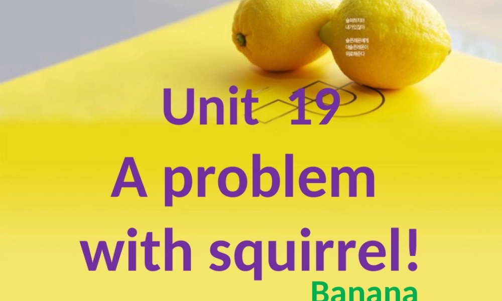 新概念青少版_2B_unit_19（共54页）.ppt