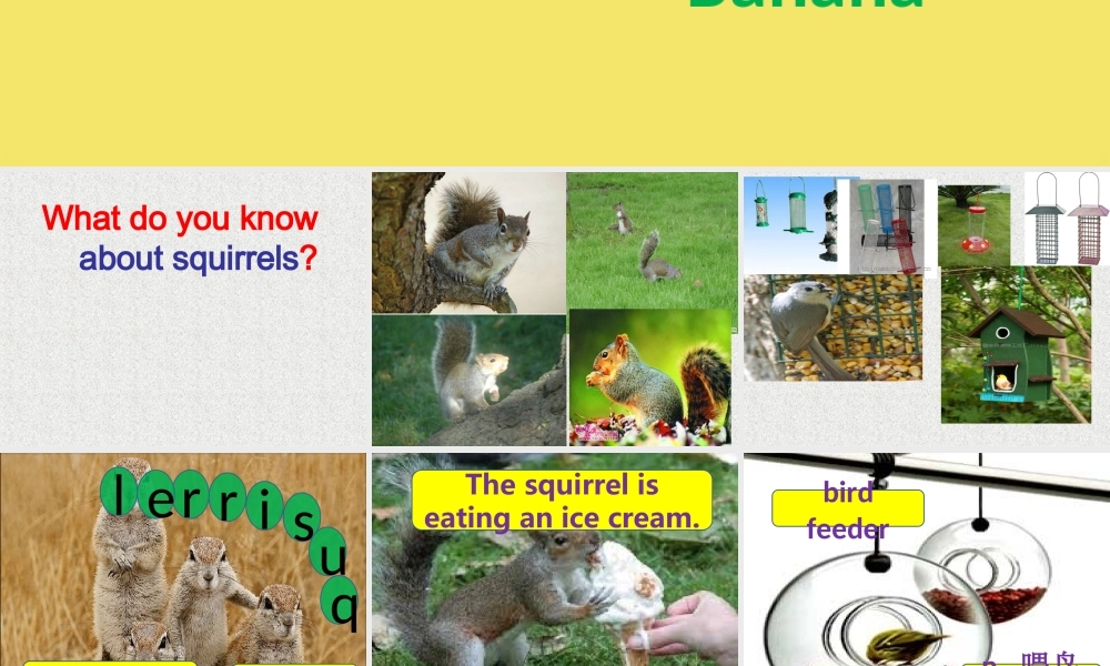 新概念青少版_2B_unit_19（共54页）.ppt