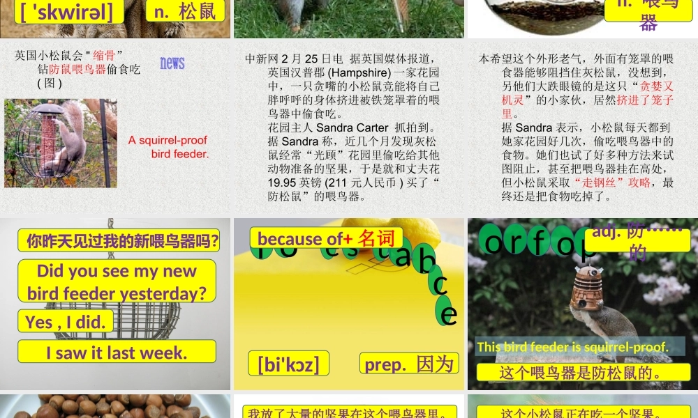 新概念青少版_2B_unit_19（共54页）.ppt