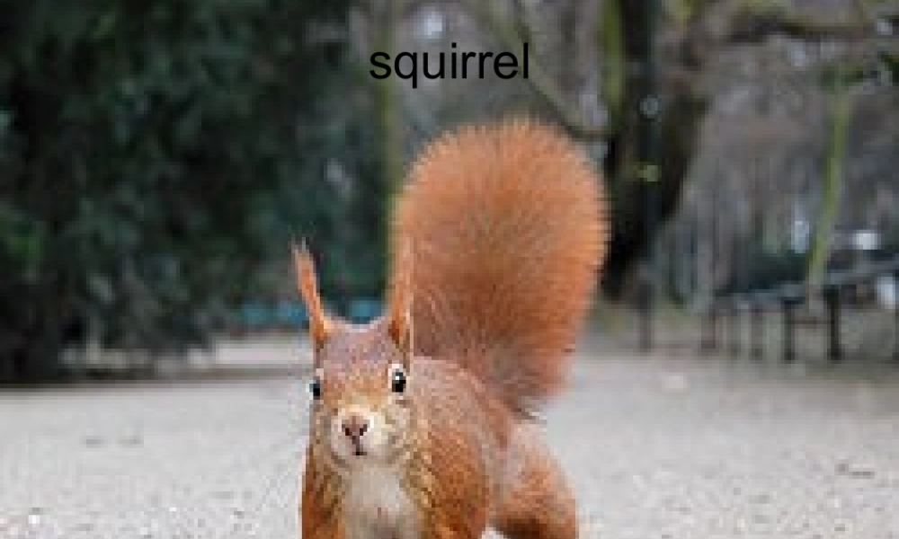 新概念青少版_2B_unit_19-L37（共19页）.ppt