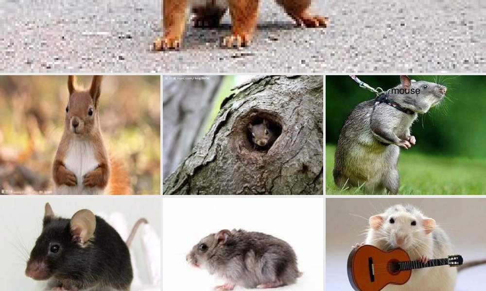 新概念青少版_2B_unit_19-L37（共19页）.ppt