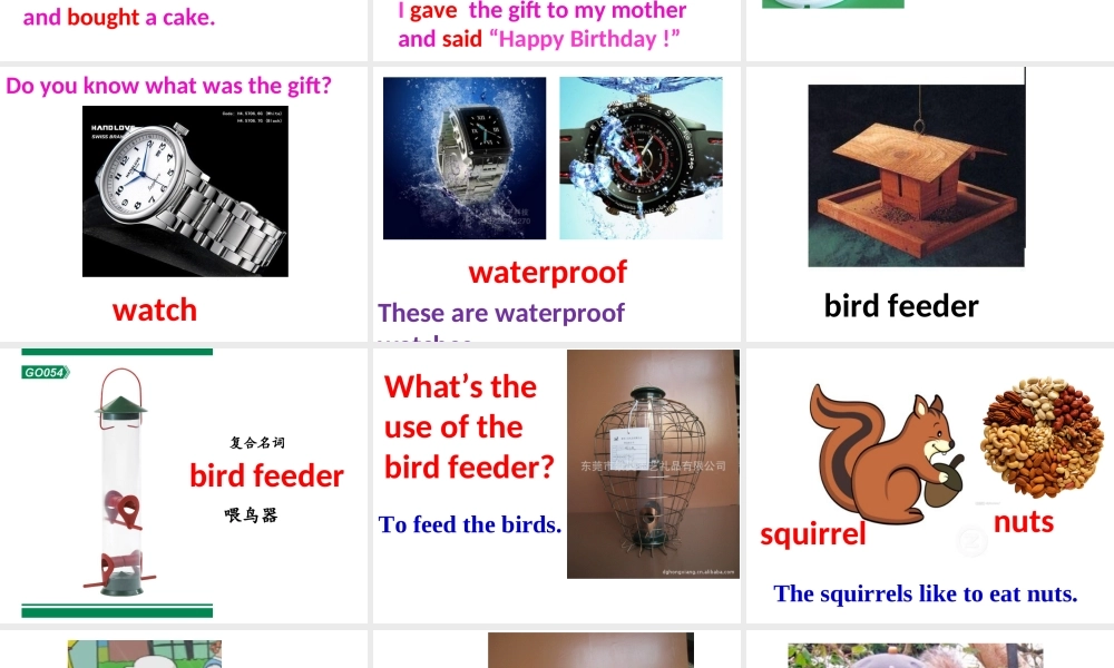 新概念青少版_2B_unit_19_Lesson37（共43页）.ppt