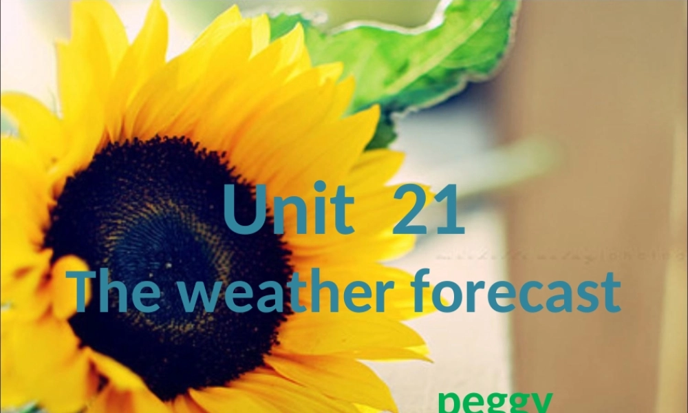 新概念青少版_2B_unit_21（共27页）.ppt