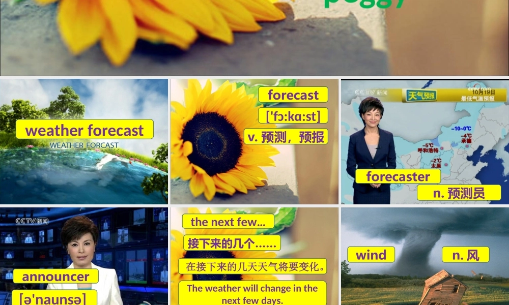 新概念青少版_2B_unit_21（共27页）.ppt