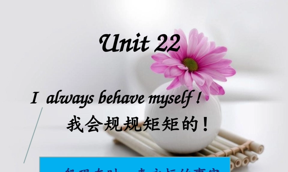 新概念青少版_2B_unit_22（共54页）.ppt