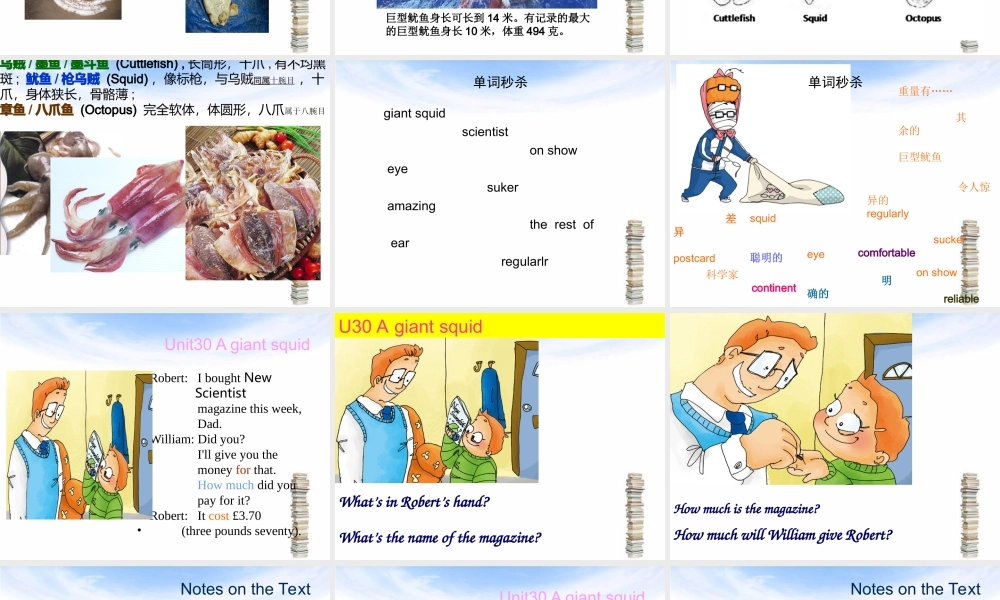 新概念青少版_2B_unit_30（共28页）.ppt