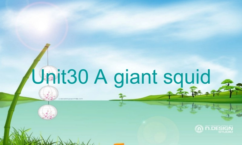 新概念青少版_2B_unit_30（共19页）.ppt