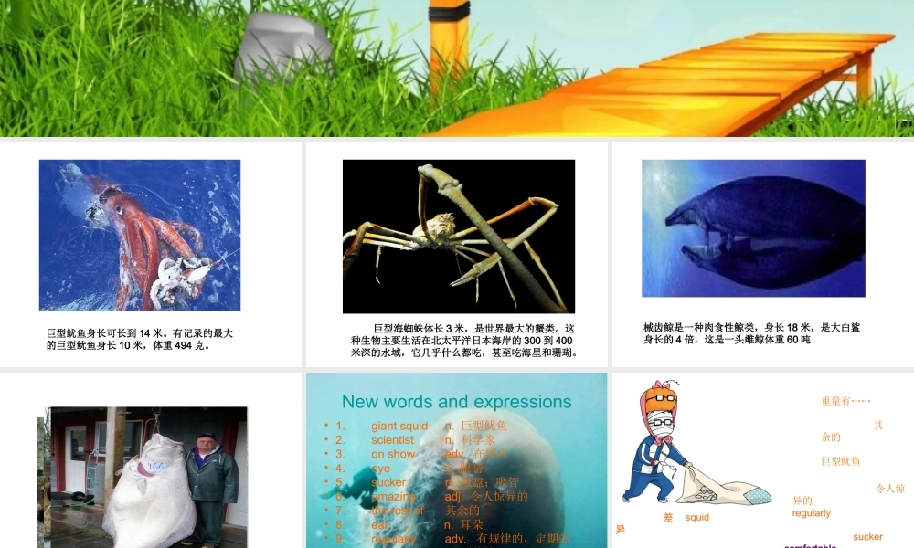 新概念青少版_2B_unit_30（共19页）.ppt