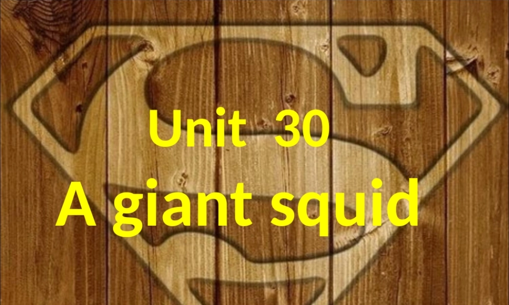 新概念青少版_2B_unit_30（共35页）.ppt