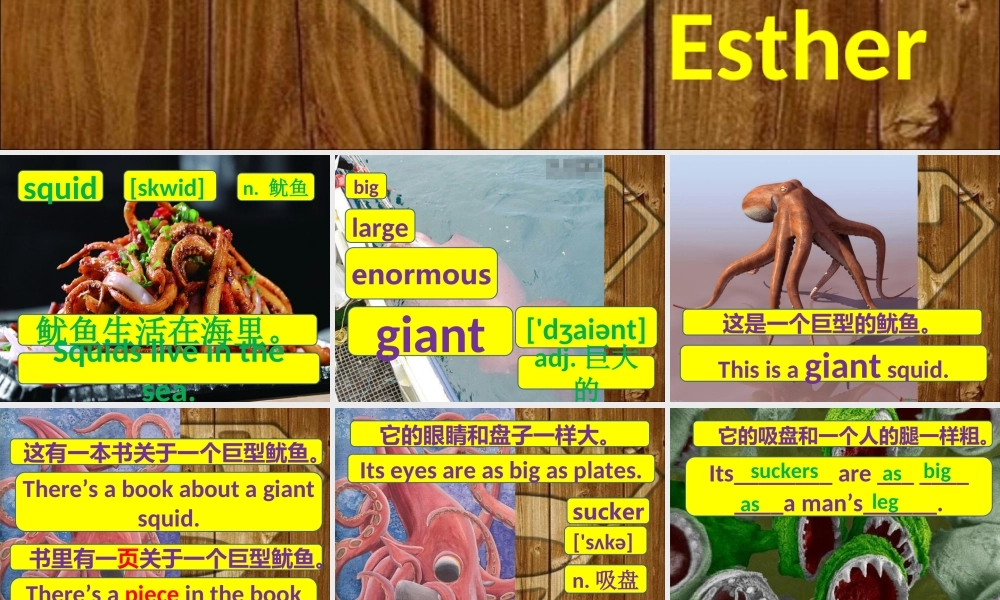 新概念青少版_2B_unit_30（共35页）.ppt