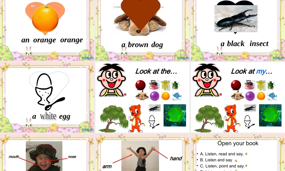 新概念英语青少版入门 A_Unit_3（共24页）.ppt