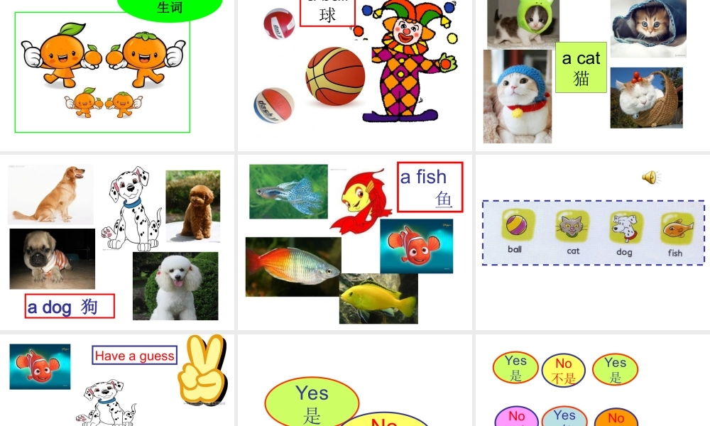 新概念英语青少版入门 A_Unit_1（共36页）.ppt