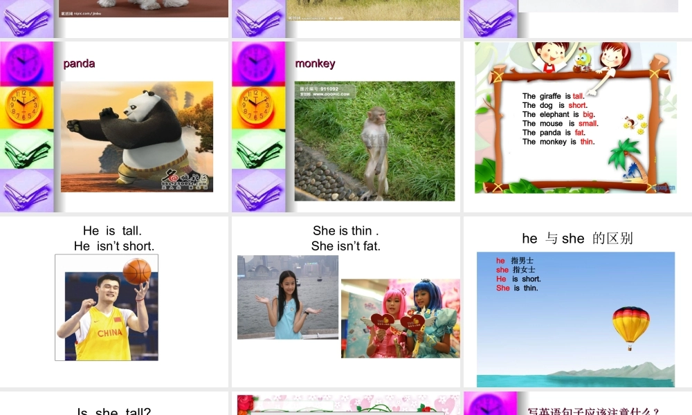 新概念英语青少版入门 A_Unit_11（共16页）.ppt