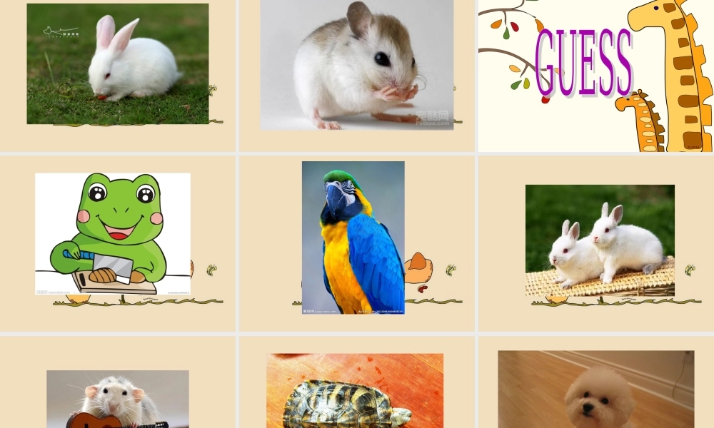 新概念英语青少版入门 A_Unit_13（共35页）.ppt