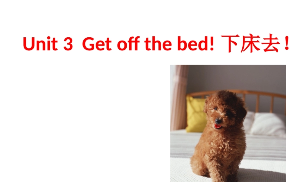 新概念英语青少版入门 B_Unit_3（共23页）.ppt