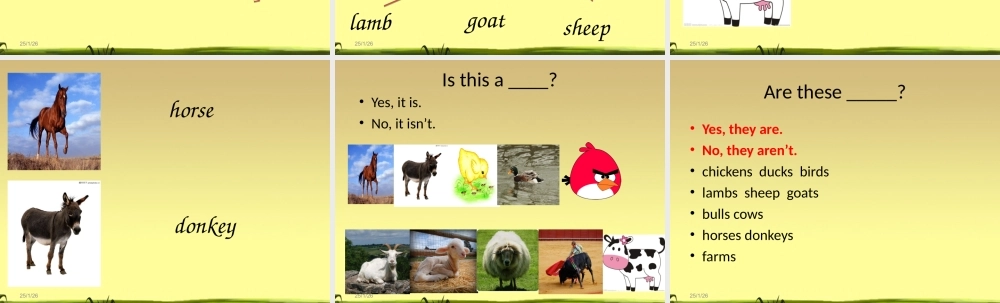 新概念英语青少版入门 B_Unit_6（共10页）.ppt