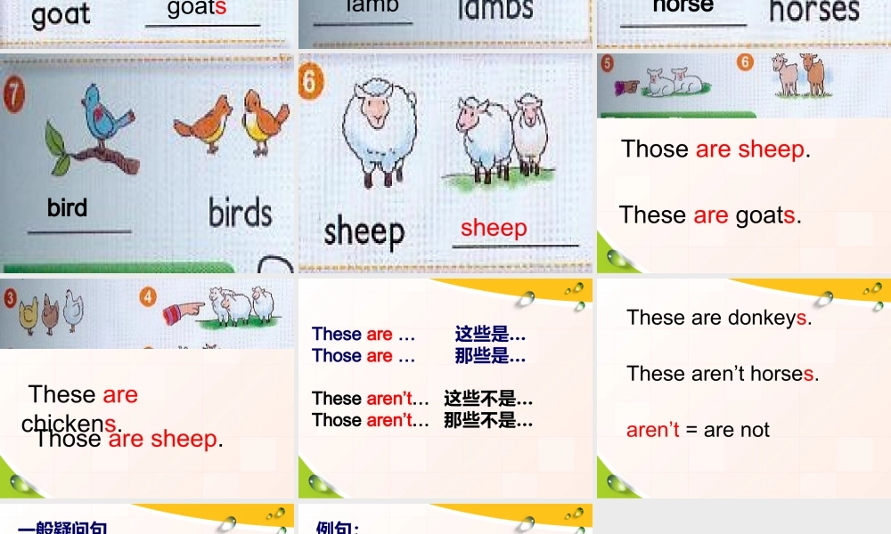 新概念英语青少版入门 B_Unit_6（共15页） (2).ppt