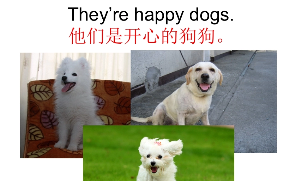 新概念英语青少版入门 B_Unit_9（共18页）.ppt