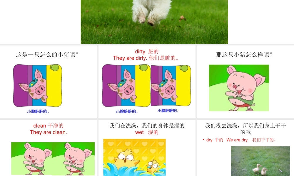 新概念英语青少版入门 B_Unit_9（共18页）.ppt