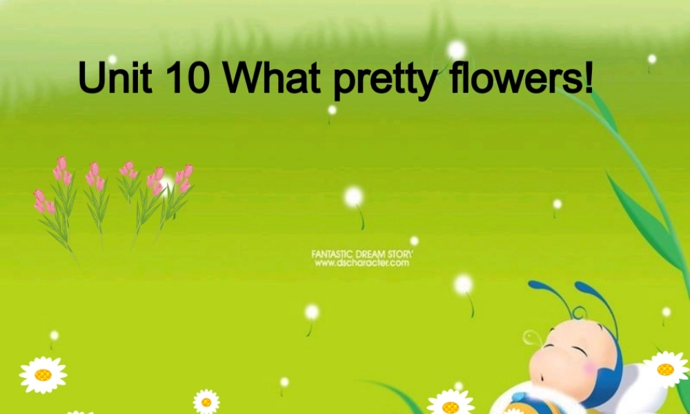 新概念英语青少版入门 B_Unit_10（共10页）.ppt