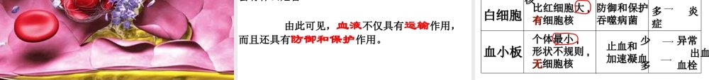 新教材-流动的组织血液-佛山谢永红.ppt