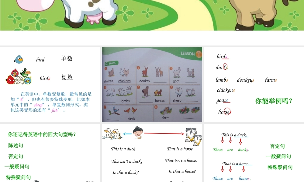 新概念英语青少版入门级B_U6_This_is_my_uncle's_farm（共14页）.ppt