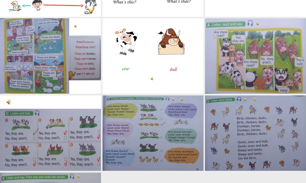 新概念英语青少版入门级B_U6_This_is_my_uncle's_farm（共14页）.ppt