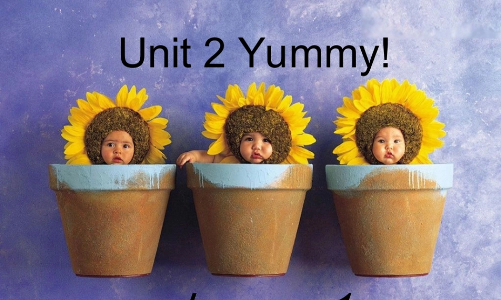 新概念英语青少版入门A_Unit2（共78页）.ppt