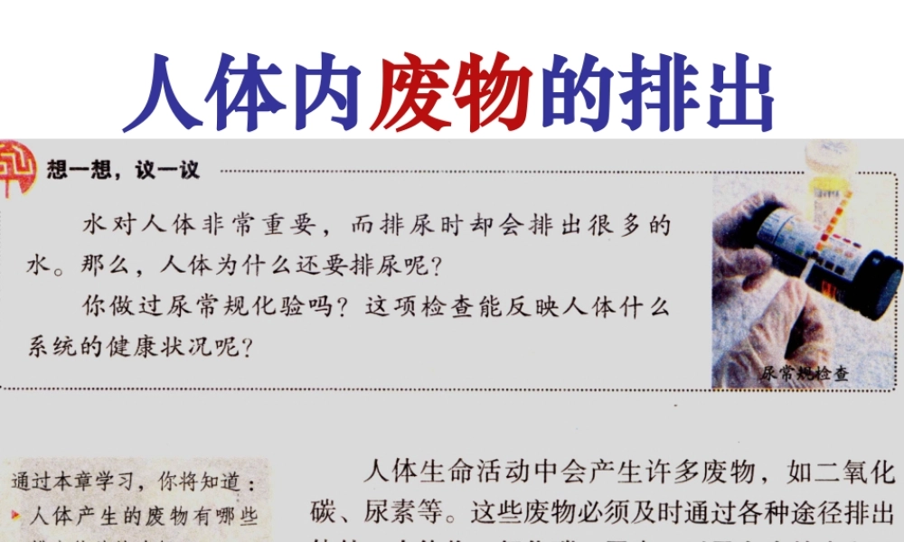 新教材-人体内废物的排出-佛山谢永红.ppt