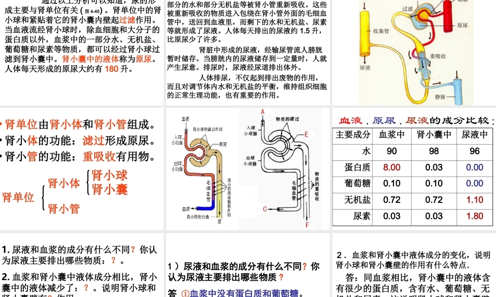 新教材-人体内废物的排出-佛山谢永红.ppt
