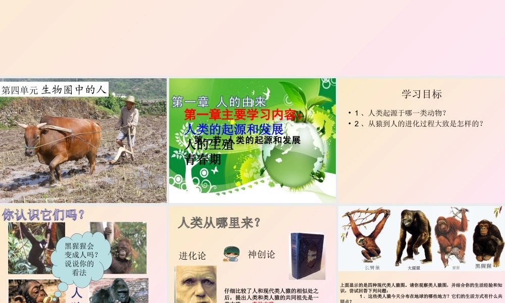 新教材人教版人类的起源和发展.ppt