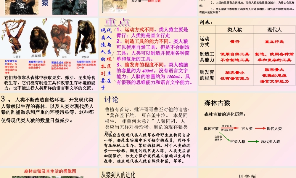 新教材人教版人类的起源和发展.ppt