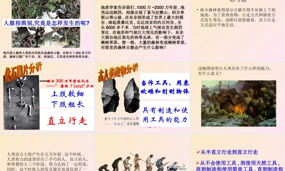 新教材人教版人类的起源和发展.ppt